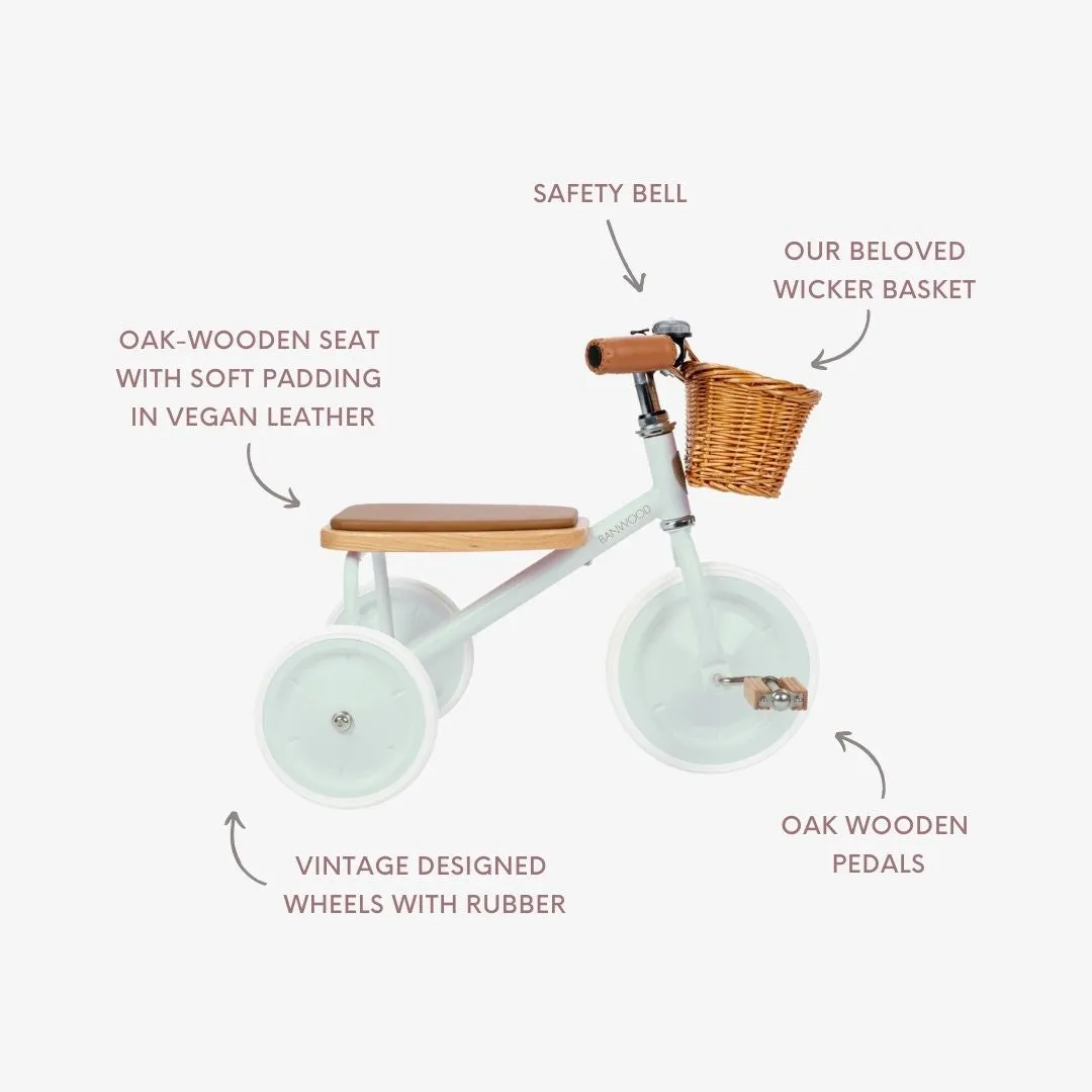 Banwood Trike Vintage τρίκυκλο μέντα 25kg