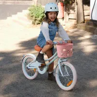 Banwood Pin & Ride καλάθι Raspberry