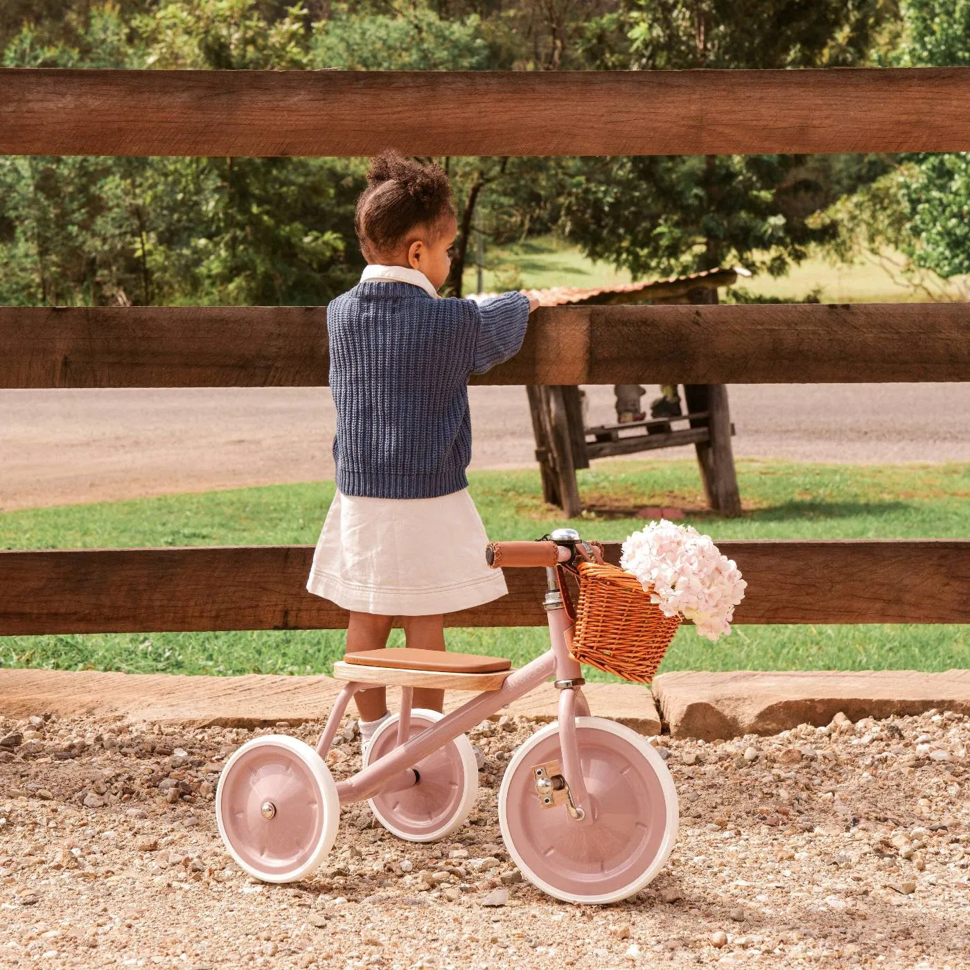 Banwood Vintage Trike τρίκυκλο Dusty Pink 2-5 ετών