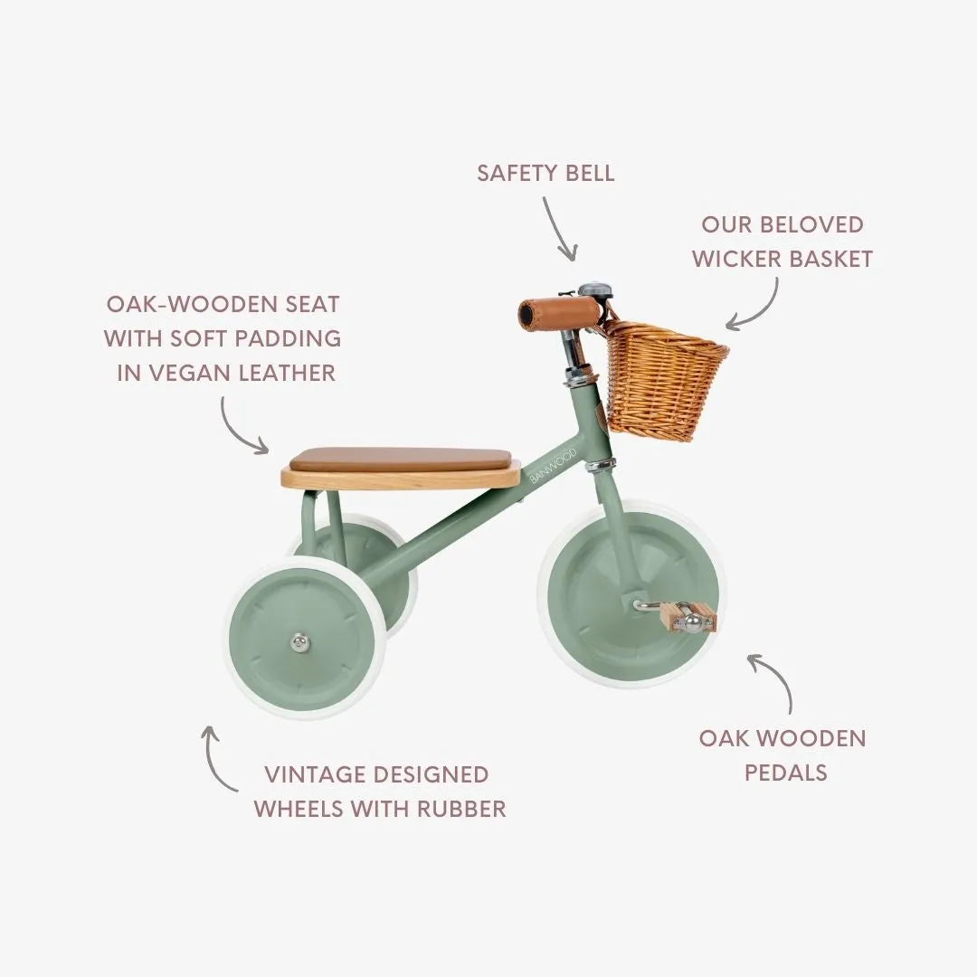 Banwood Vintage Trike τρίκυκλο Forest 2-5 ετών